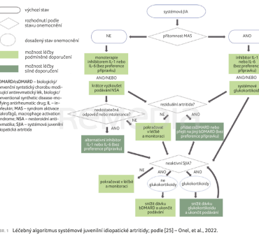 OBR. 1 Léčebný algoritmus systémové juvenilní idiopatické artritidy; podle [25] – Onel, et al., 2022.