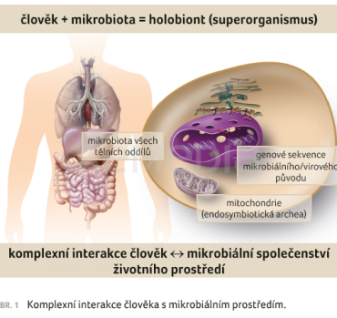 OBR. 1 Komplexní interakce člověka s mikrobiálním prostředím.