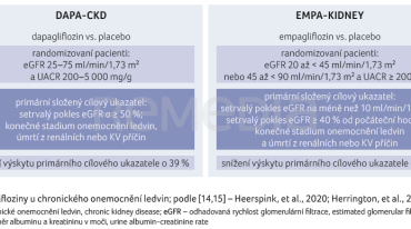 OBR. 3 Glifloziny u chronického onemocnění ledvin