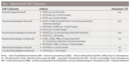 Léčba CAR-T lymfocyty – aktuální stav, nové indikace a přípravky, zkušenosti z praxe