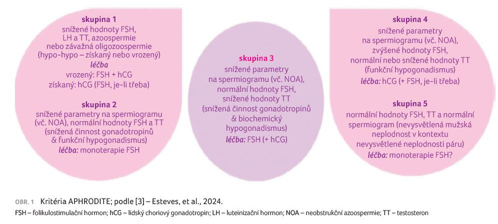 OBR. 1 Kritéria APHRODITE; podle [3] – Esteves, et al., 2024.