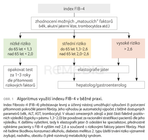 Index FIB-4 v diagnostice jaterní fibrózy a úskalí jeho vyhodnocení